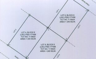 JUSTINIANO EPIFANIO T 19423 1