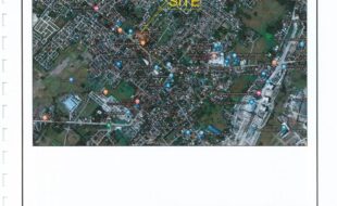 LAYSON JANET T 115713 3