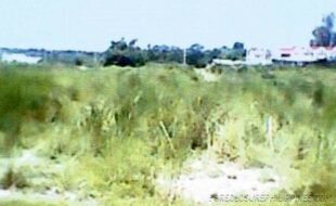 LGTM CORPORATION 042 2023002288 1