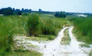 LGTM CORPORATION 042 2023002289 1