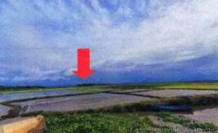 LUNA BIENVENIDO T 34437 2