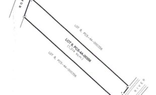 Lopez LiliaDanilo T 21251 1