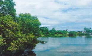 MANTAC FRANCISCO T 16427 1