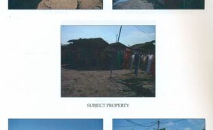 MAYA ORSINO T 337953 3