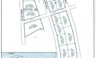 MAYA ORSINO T 337984 1