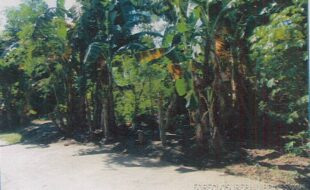 MERIDIAN PROP. DEVELOPMENT CORPORATION T 1095659 057 2016012270 1