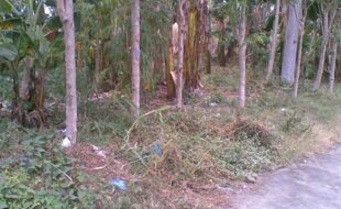 MERIDIAN PROP. DEVELOPMENT CORPORATION T 1095660 057 2016028503 2