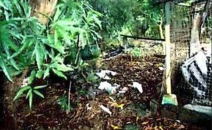 MERIDIAN PROP. DEVELOPMENT CORPORATION T 1095667 057 2016010665 1