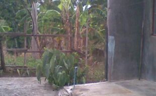 MERIDIAN PROP. DEVELOPMENT CORPORATION T 1095692 057 2016035886 3