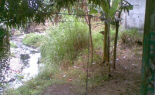 MERIDIAN PROP. DEVELOPMENT CORPORATION T 1095694 057 2016010661 1