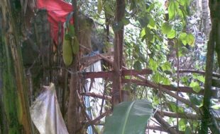 MERIDIAN PROP. DEVELOPMENT CORPORATION T 1095703 1