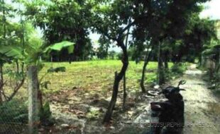 MONTES GAUDENCIO NT 253209 3