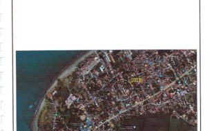 Mendoza Gonzalo 81566 1