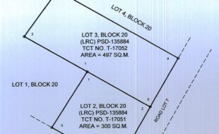 Nicart Antonio T 17052 1