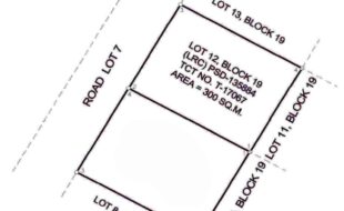 Nicor Nancy T 17067 1