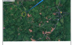 OGAN CASIANO T 185942 4