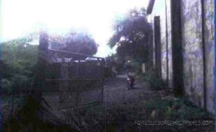 PABLO ORLANDO T 17154 1