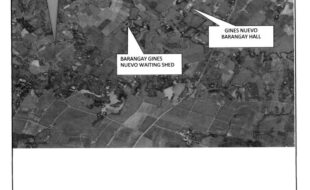 PADERNILLA NELITO T 171 441 4