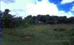 Pangilinan Policarpio T 5353 1