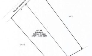 Quilit Basilio T 10235 1