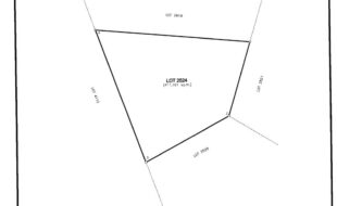 REYES JESUS T 121316