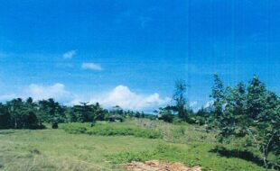 REYES MARCIAL T 104041 4