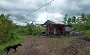 REYES MARCIAL T 104227 2