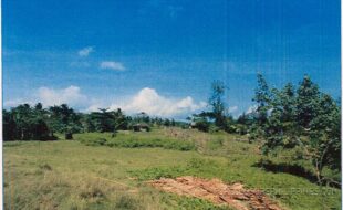 REYES MARCIAL T 104236 3