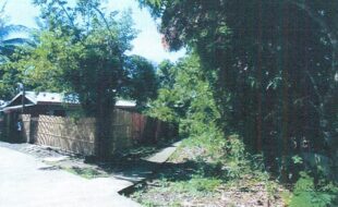 REYES MARCIAL T 104242 2