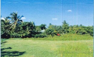 REYES MARCIAL T 104296 2