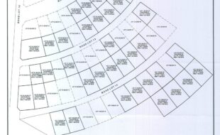 REYES MARCIAL T 105321 2