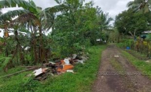 REYES MARCIAL T 105672 4