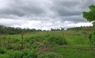 REYES MARCIAL T 105714 3