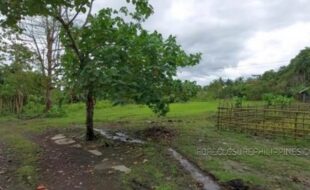 REYES MARCIAL T 105715 2