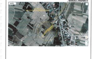 Ramos Trofinio T 16965 1