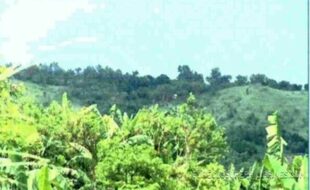 SANTOS GLORIA T 99755 2