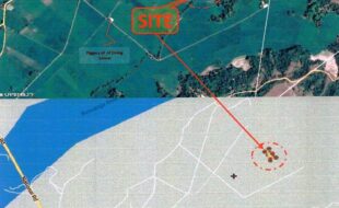 Salazar Emilio T 17045 1