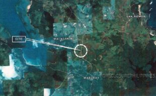 Salvosa Amaro 35083 1