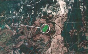 Serna Celestina T 17323 1