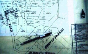 TABIANA JUDITH T 18986 1