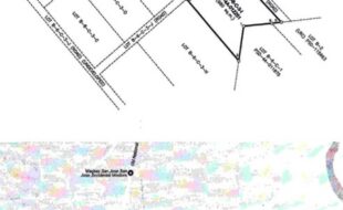 TAMARES JOSE T 13806 2