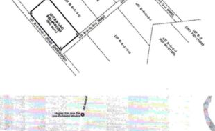 TAMARES SILVERIO T 13830 1