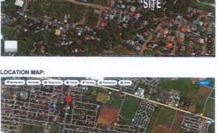 TAN ALFREDO T 231976 1