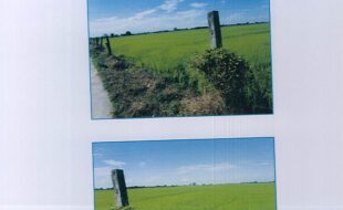 TIGLAO ATANACIA 1469039 1