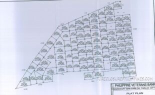 TIGLAO ATANACIA 146952 2 Lots 5