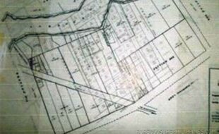 Terrania Alejandro T 17422 1