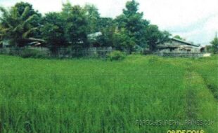 ULAYAO SOLEDAD G T 20829 2