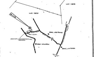 VERGARA REMIGIO T 198201