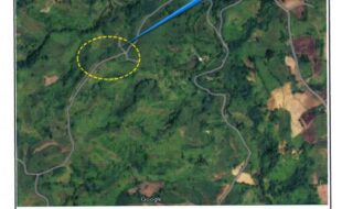 VIdaja Alejandro T 199610 4