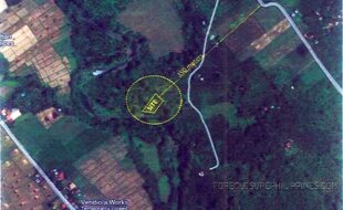 Venales Rosendo T 196702 1